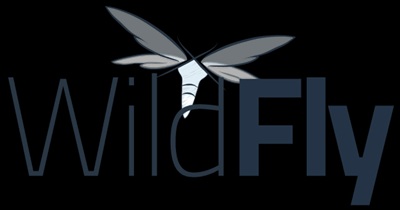 Quickly Bootstrap Enterprise Java Applications with WildFly Initializer and Jakarta EE 11