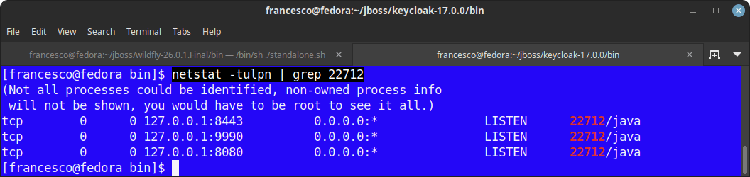 how to I know which port is using jboss