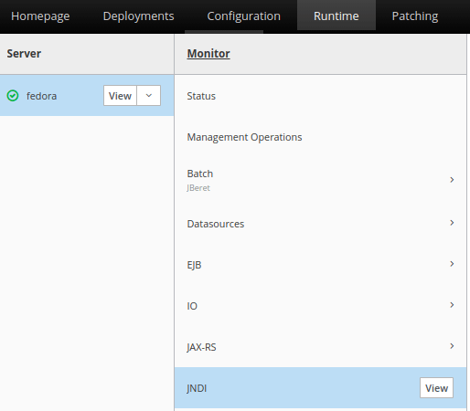 how to view the jndi tree in wildfly