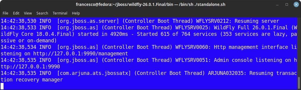 wildfly allow remote host connection