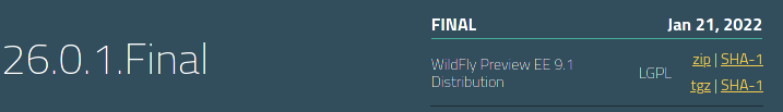 jakartaee9 wildfly