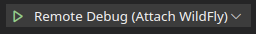 attach to remote debug