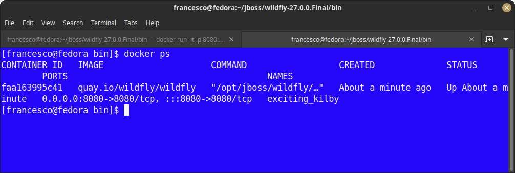docker wildfly tutorial