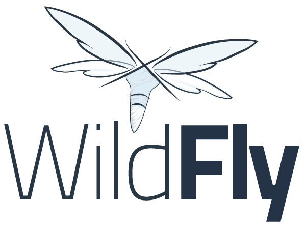 wildfly