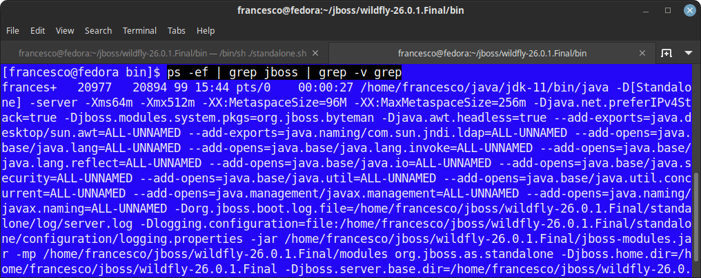 is jboss running?