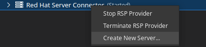 Application server management visual studio