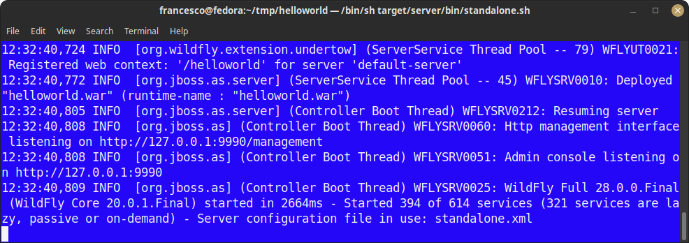 wildfly maven plugin CI/CD best practices