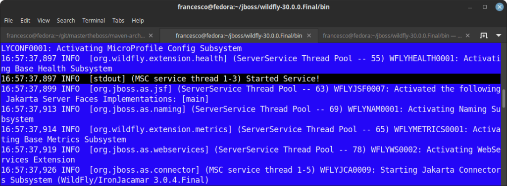 wildfly how to create a new subsystem