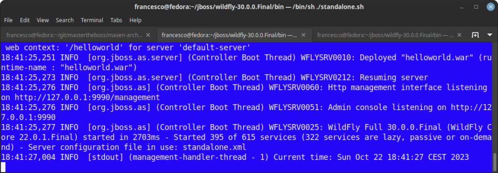 step-by-step guide to create a new wildfly subsystem