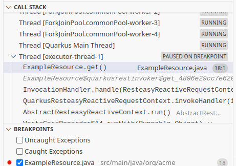 visual studio debugging quarkus