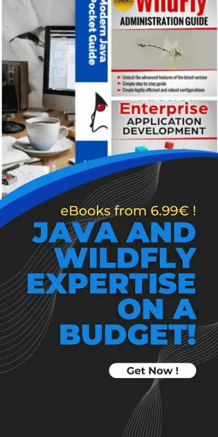 wildfly books